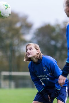 Bild 254 - B-Juniorinnen HSV - SV BW Hohen Neuendorf